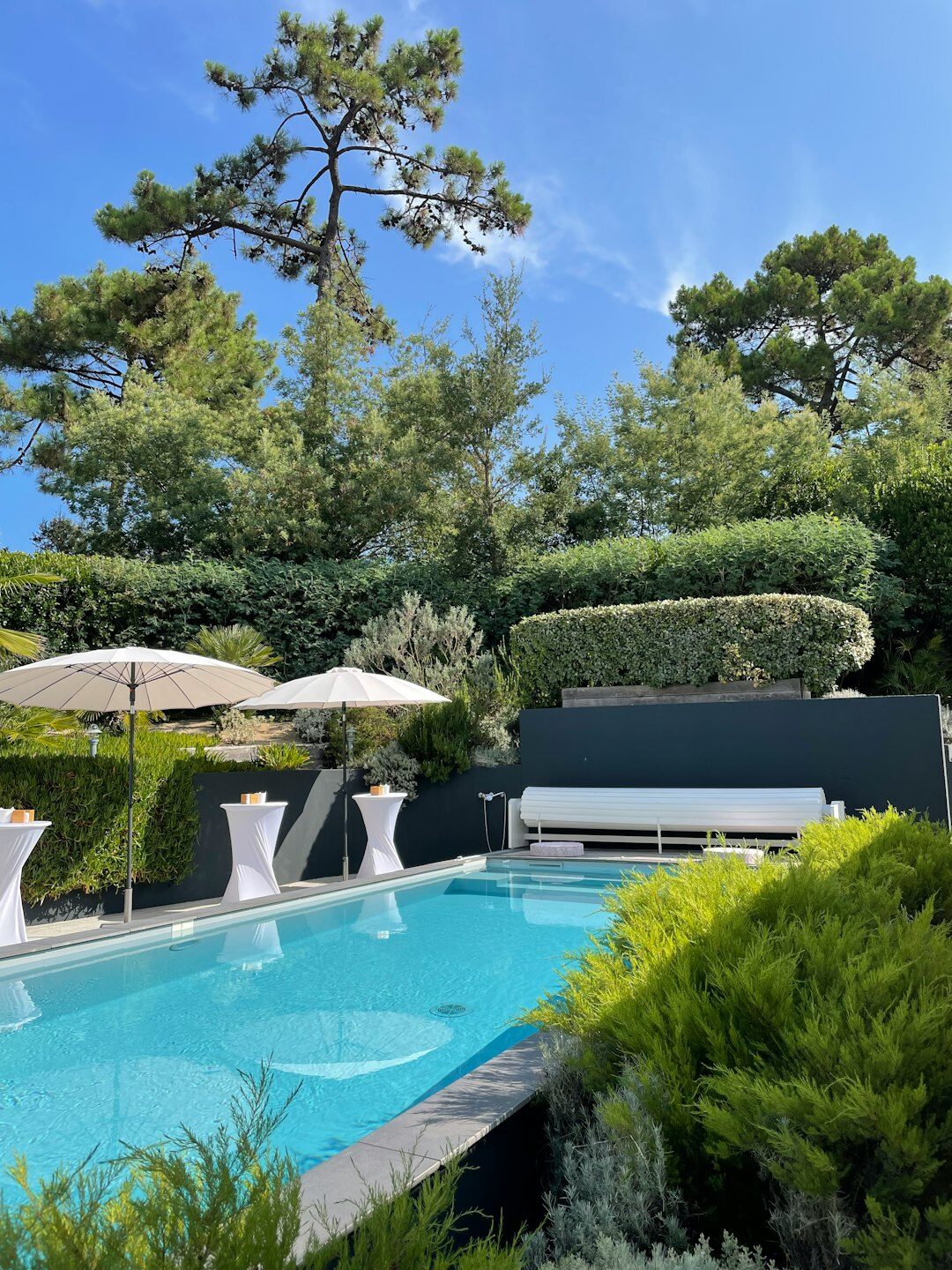 celebrity garden and pool
